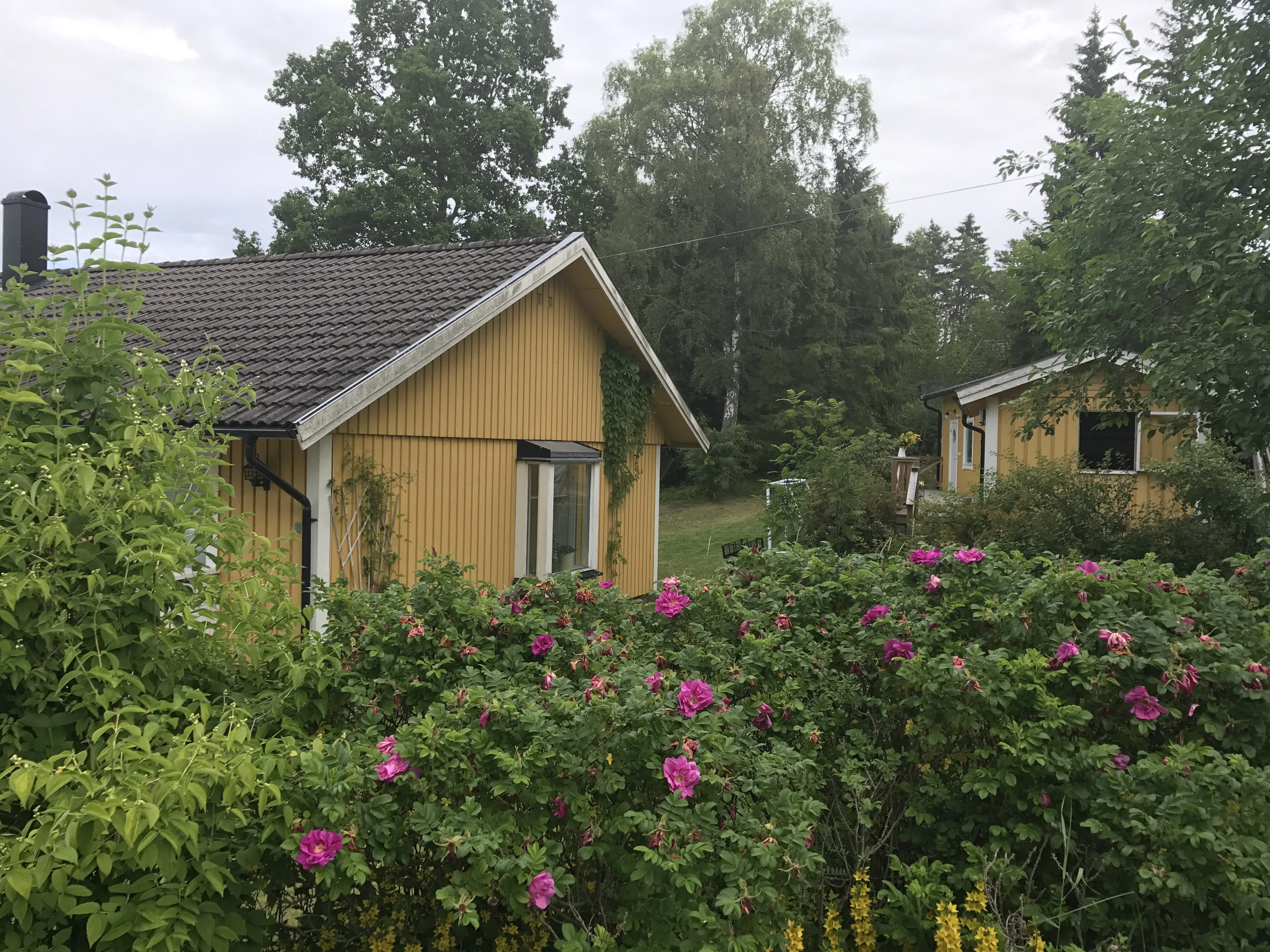 A House in Grisslehamn, Sweden