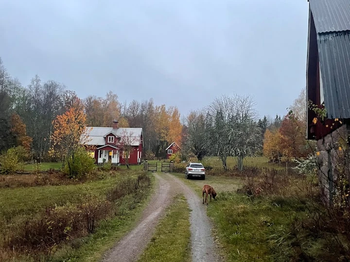A Cottage in Högsby, Sweden