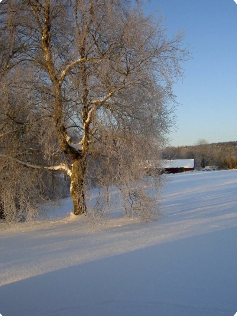 A Cottage in Halmstad, Sweden